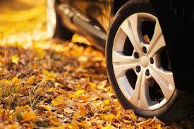 car driving on dry leaves in fall